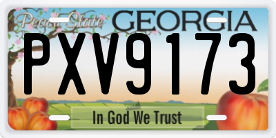GA license plate PXV9173