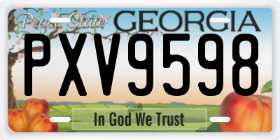 GA license plate PXV9598