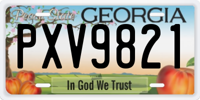 GA license plate PXV9821
