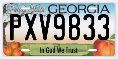 GA license plate PXV9833