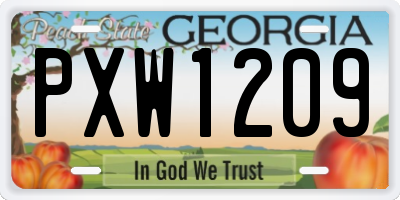 GA license plate PXW1209