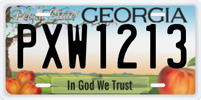 GA license plate PXW1213