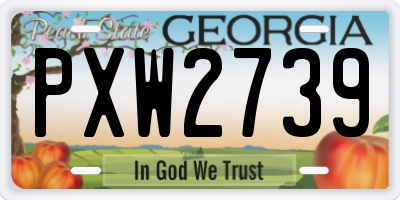 GA license plate PXW2739