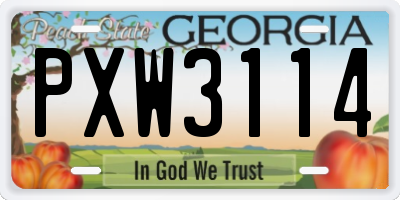 GA license plate PXW3114