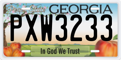 GA license plate PXW3233