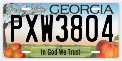 GA license plate PXW3804