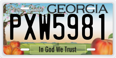 GA license plate PXW5981