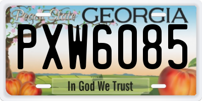 GA license plate PXW6085