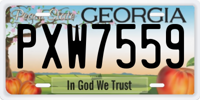 GA license plate PXW7559