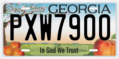 GA license plate PXW7900