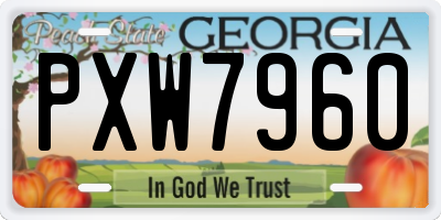 GA license plate PXW7960