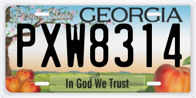 GA license plate PXW8314