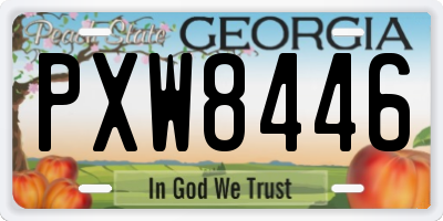 GA license plate PXW8446