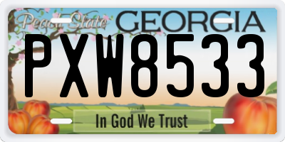GA license plate PXW8533