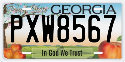 GA license plate PXW8567