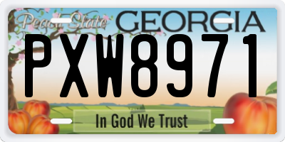 GA license plate PXW8971
