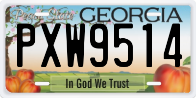 GA license plate PXW9514