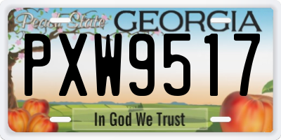 GA license plate PXW9517