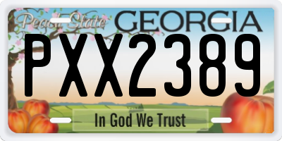 GA license plate PXX2389