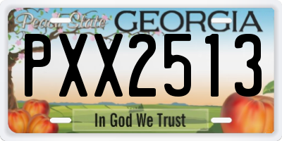 GA license plate PXX2513