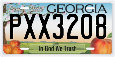 GA license plate PXX3208