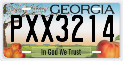GA license plate PXX3214