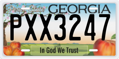 GA license plate PXX3247
