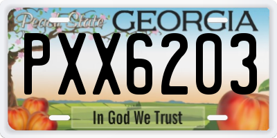 GA license plate PXX6203