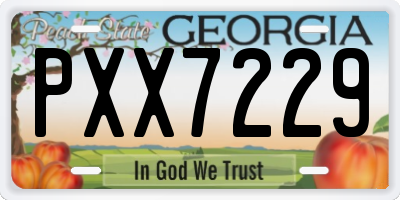 GA license plate PXX7229