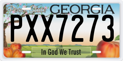 GA license plate PXX7273