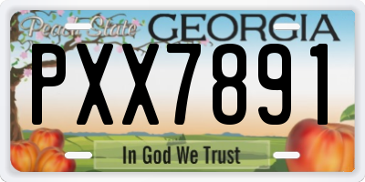 GA license plate PXX7891