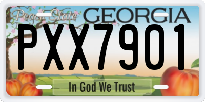 GA license plate PXX7901