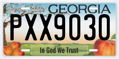 GA license plate PXX9030