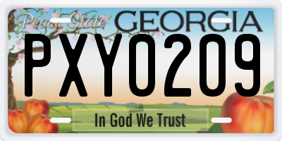 GA license plate PXY0209