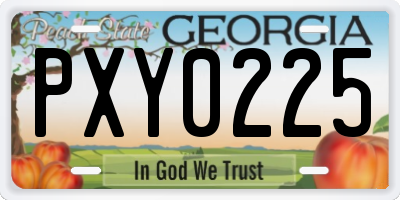 GA license plate PXY0225