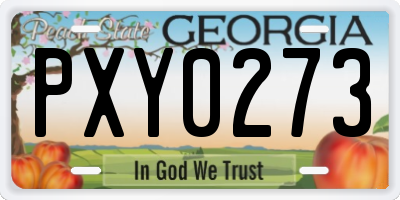 GA license plate PXY0273