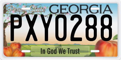 GA license plate PXY0288
