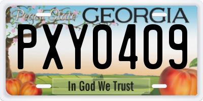 GA license plate PXY0409