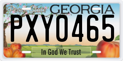 GA license plate PXY0465