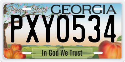 GA license plate PXY0534