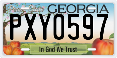 GA license plate PXY0597