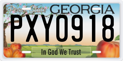 GA license plate PXY0918