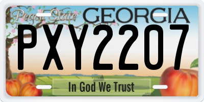 GA license plate PXY2207