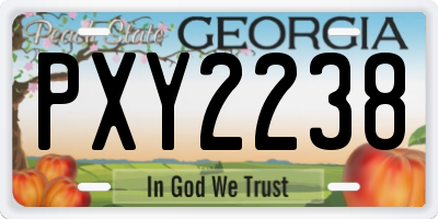 GA license plate PXY2238