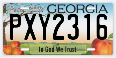 GA license plate PXY2316