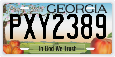 GA license plate PXY2389