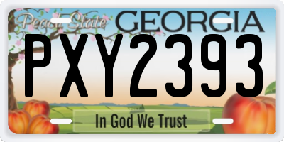 GA license plate PXY2393