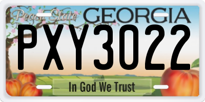 GA license plate PXY3022