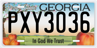GA license plate PXY3036