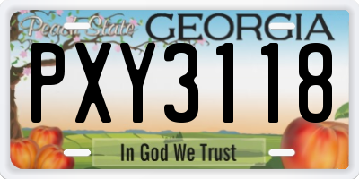 GA license plate PXY3118
